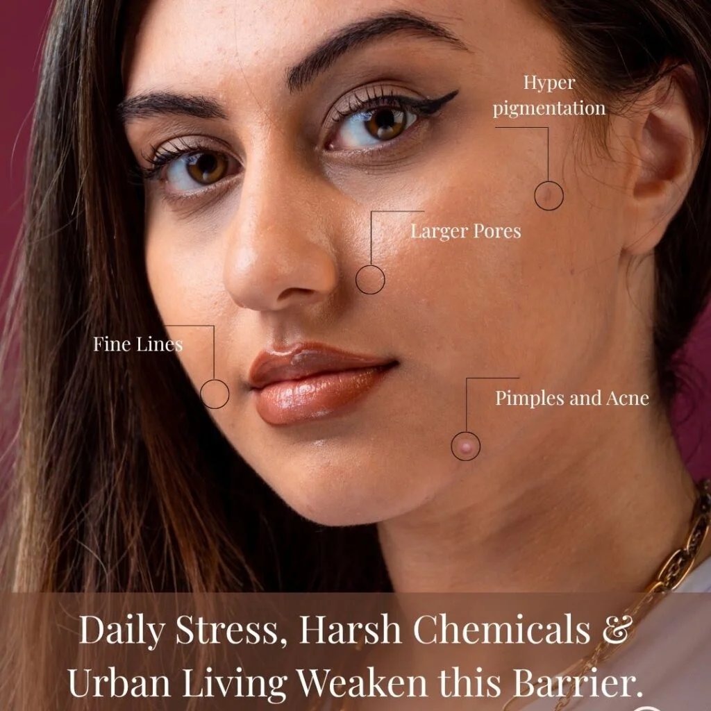 Revité skincare education social creative